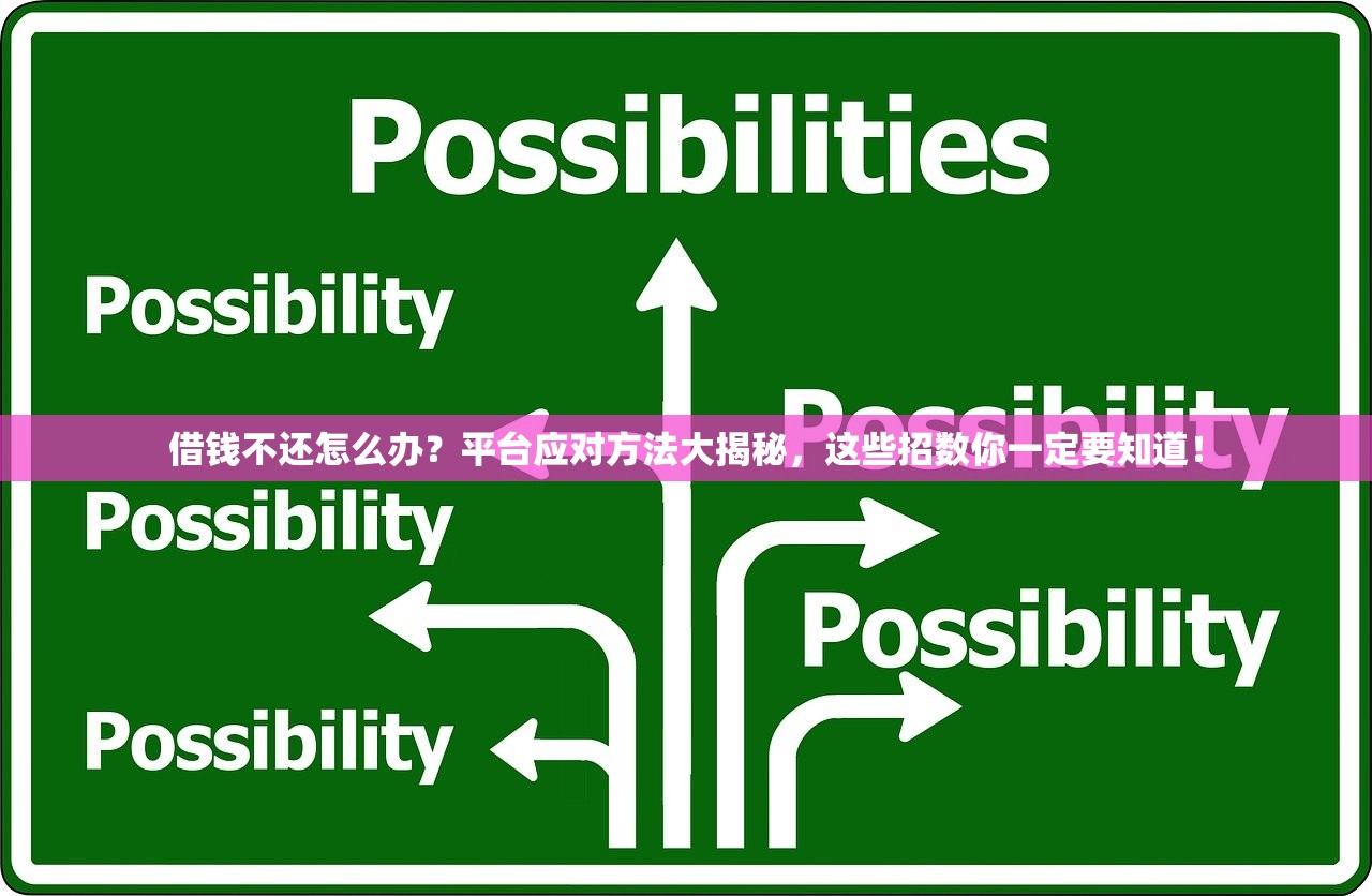 借钱不还怎么办？平台应对方法大揭秘，这些招数你一定要知道！