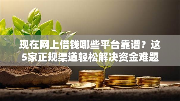 现在网上借钱哪些平台靠谱？这5家正规渠道轻松解决资金难题