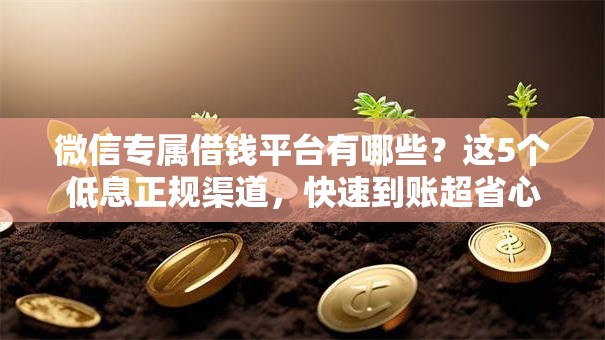 微信专属借钱平台有哪些？这5个低息正规渠道，快速到账超省心！