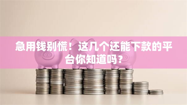 急用钱别慌！这几个还能下款的平台你知道吗？