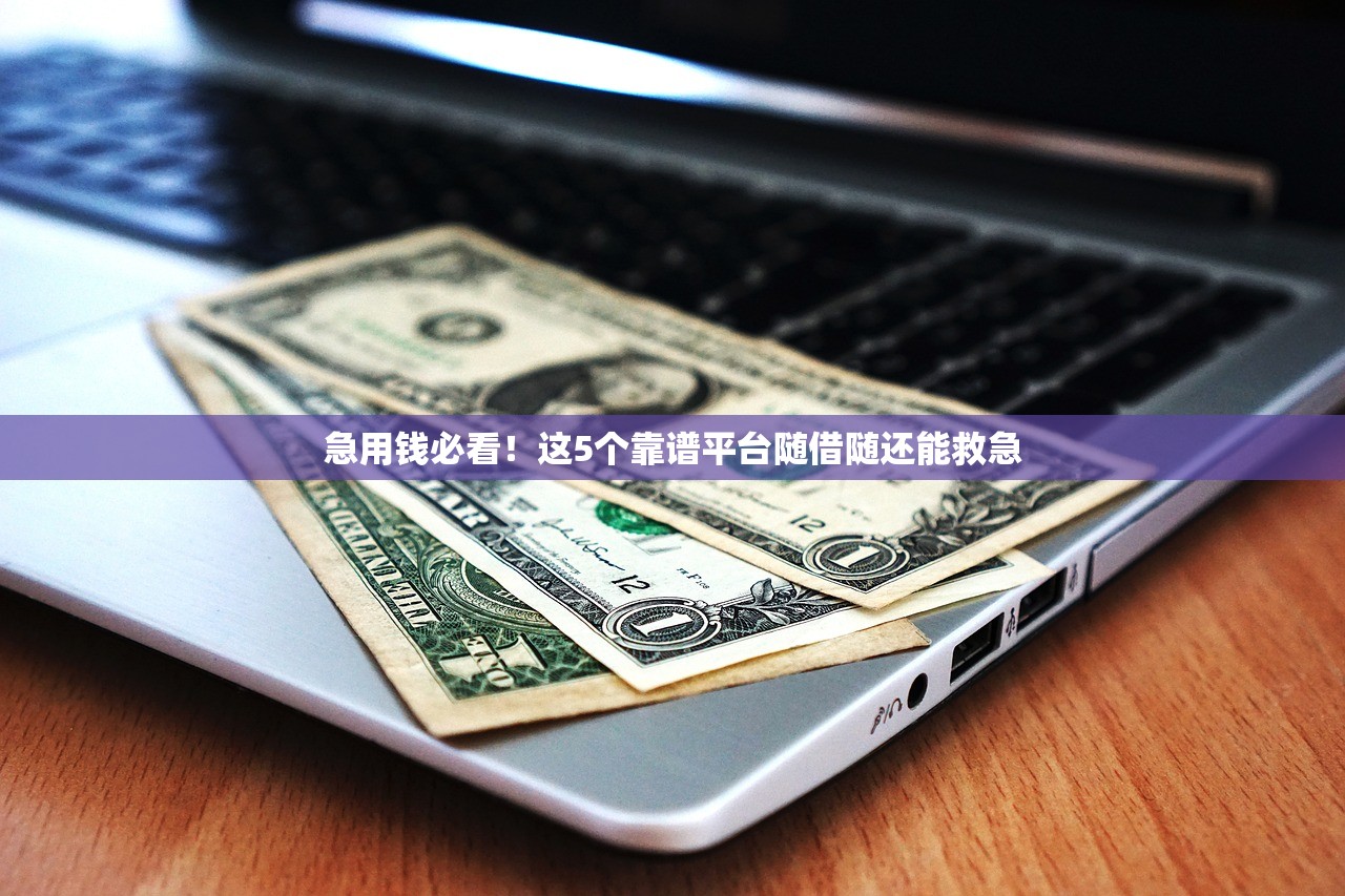 急用钱必看!这5个靠谱平台随借随还能救急 急用钱必看!这5个靠谱平台随借随还能救急