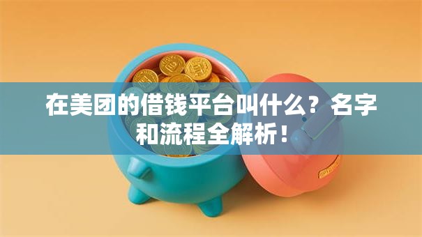 在美团的借钱平台叫什么?名字和流程全解析! 在美团的借钱平台叫什么?名字和流程全解析!