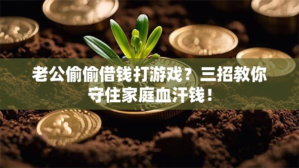 老公偷偷借钱打游戏?三招教你守住家庭血汗钱! 老公偷偷借钱打游戏?三招教你守住家庭血汗钱!