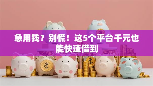 急用钱？别慌！这5个平台千元也能快速借到