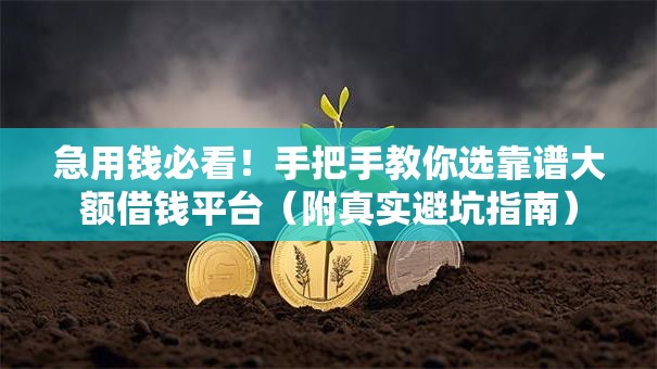 急用钱必看！手把手教你选靠谱大额借钱平台（附真实避坑指南）