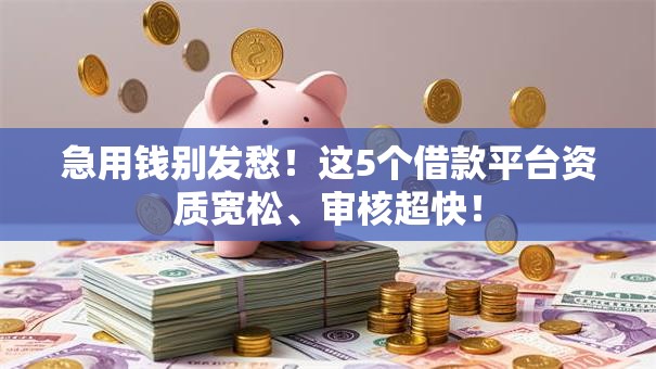 急用钱别发愁！这5个借款平台资质宽松、审核超快！