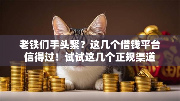 老铁们手头紧?这几个借钱平台信得过!试试这几个正规渠道 老铁们手头紧?这几个借钱平台信得过!试试这几个正规渠道