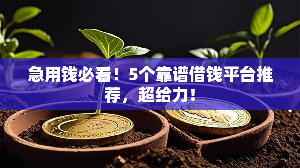 急用钱必看！5个靠谱借钱平台推荐，超给力！