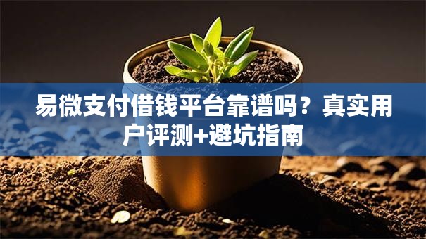 易微支付借钱平台靠谱吗？真实用户评测+避坑指南