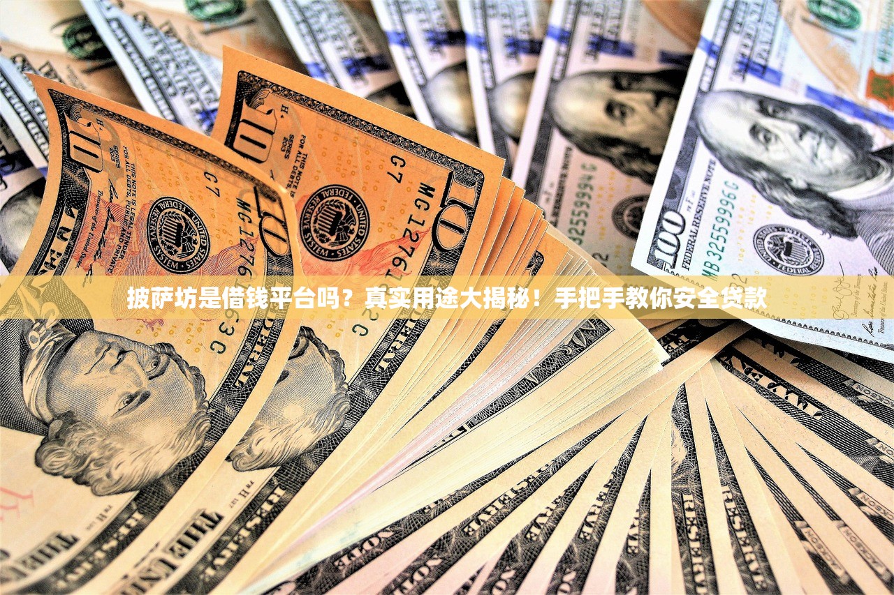 披萨坊是借钱平台吗？真实用途大揭秘！手把手教你安全贷款