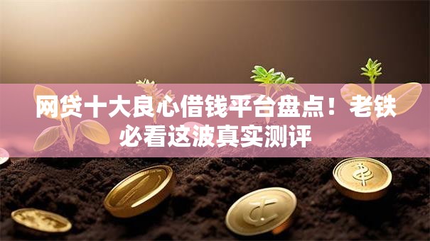 网贷十大良心借钱平台盘点！老铁必看这波真实测评
