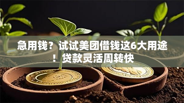 急用钱？试试美团借钱这6大用途！贷款灵活周转快