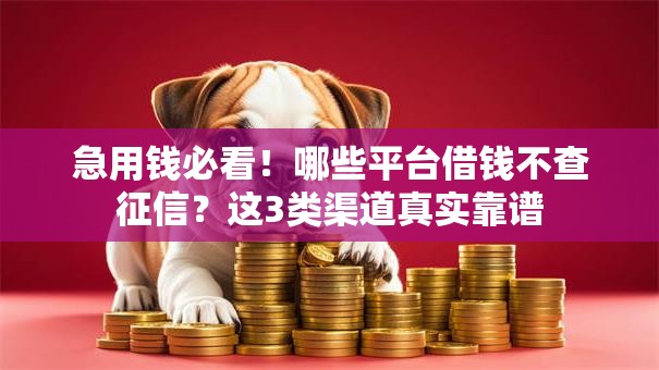 急用钱必看！哪些平台借钱不查征信？这3类渠道真实靠谱