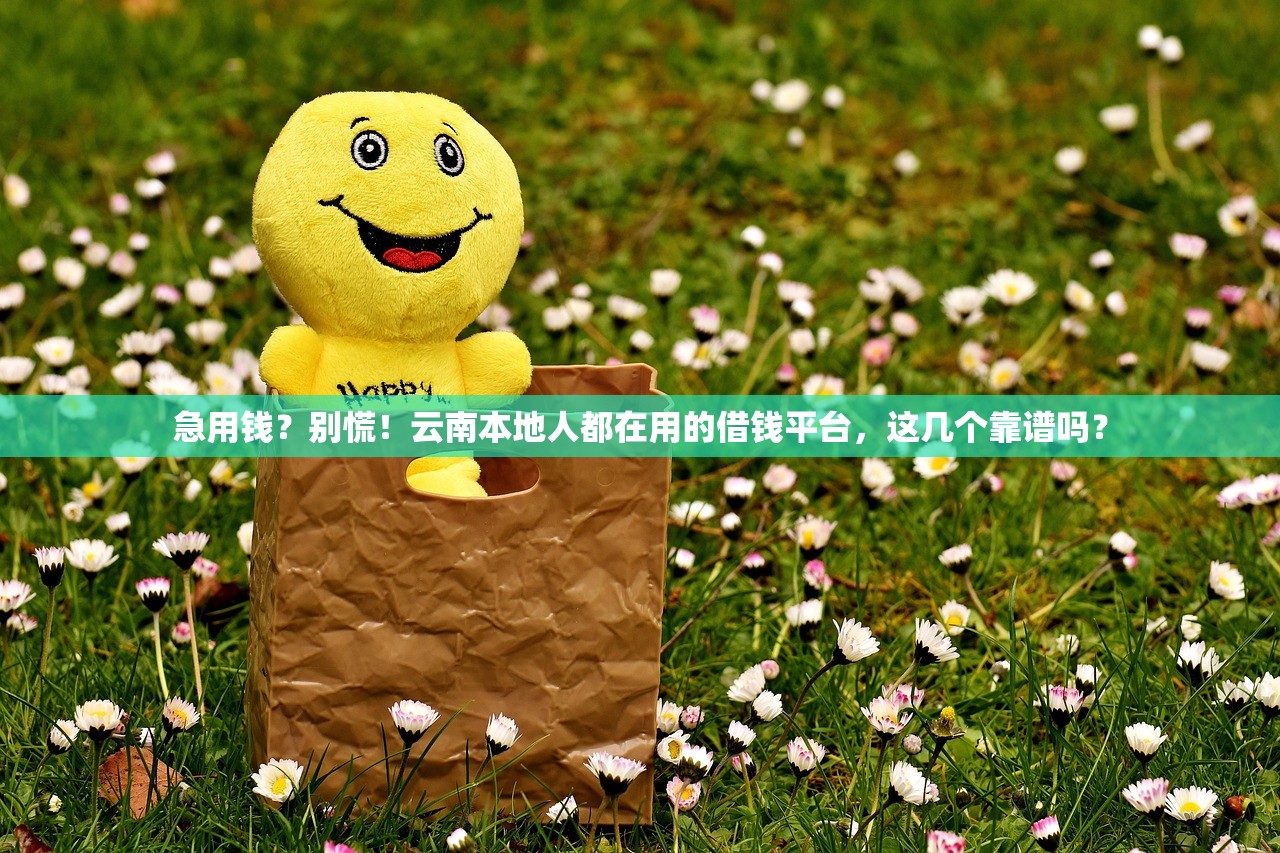 急用钱？别慌！云南本地人都在用的借钱平台，这几个靠谱吗？