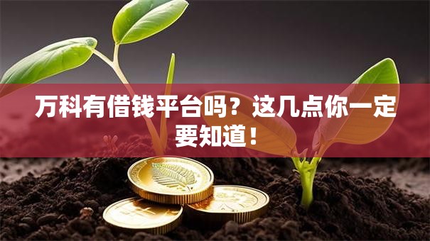 万科有借钱平台吗？这几点你一定要知道！