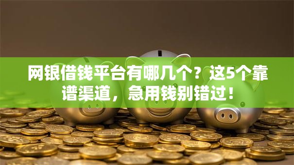 网银借钱平台有哪几个？这5个靠谱渠道，急用钱别错过！