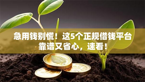 急用钱别慌！这5个正规借钱平台靠谱又省心，速看！