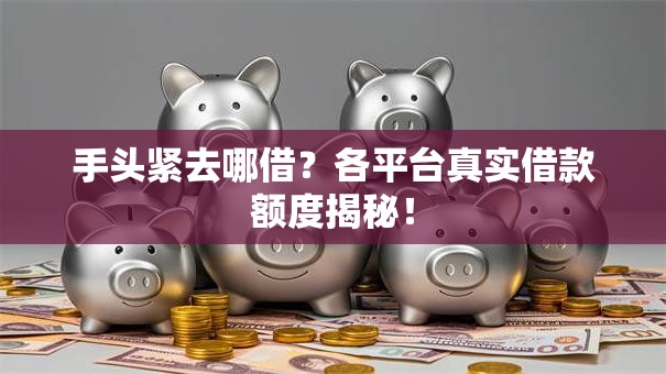 手头紧去哪借？各平台真实借款额度揭秘！