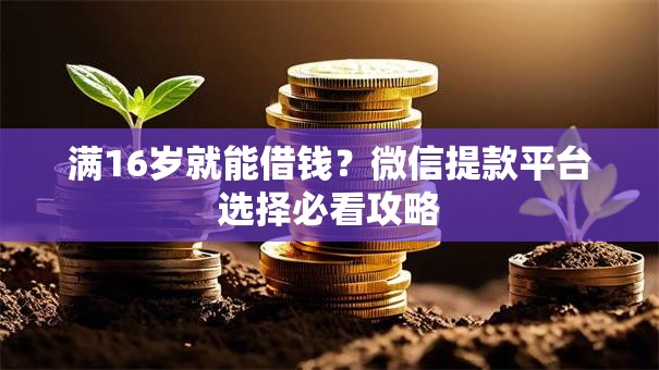 满16岁就能借钱?微信提款平台选择必看攻略 满16岁就能借钱?微信提款平台选择必看攻略