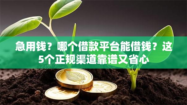急用钱?哪个借款平台能借钱?这5个正规渠道靠谱又省心 急用钱?哪个借款平台能借钱?这5个正规渠道靠谱又省心