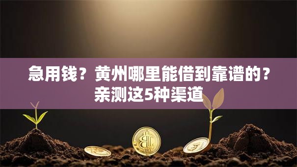 急用钱?黄州哪里能借到靠谱的?亲测这5种渠道 急用钱?黄州哪里能借到靠谱的?亲测这5种渠道