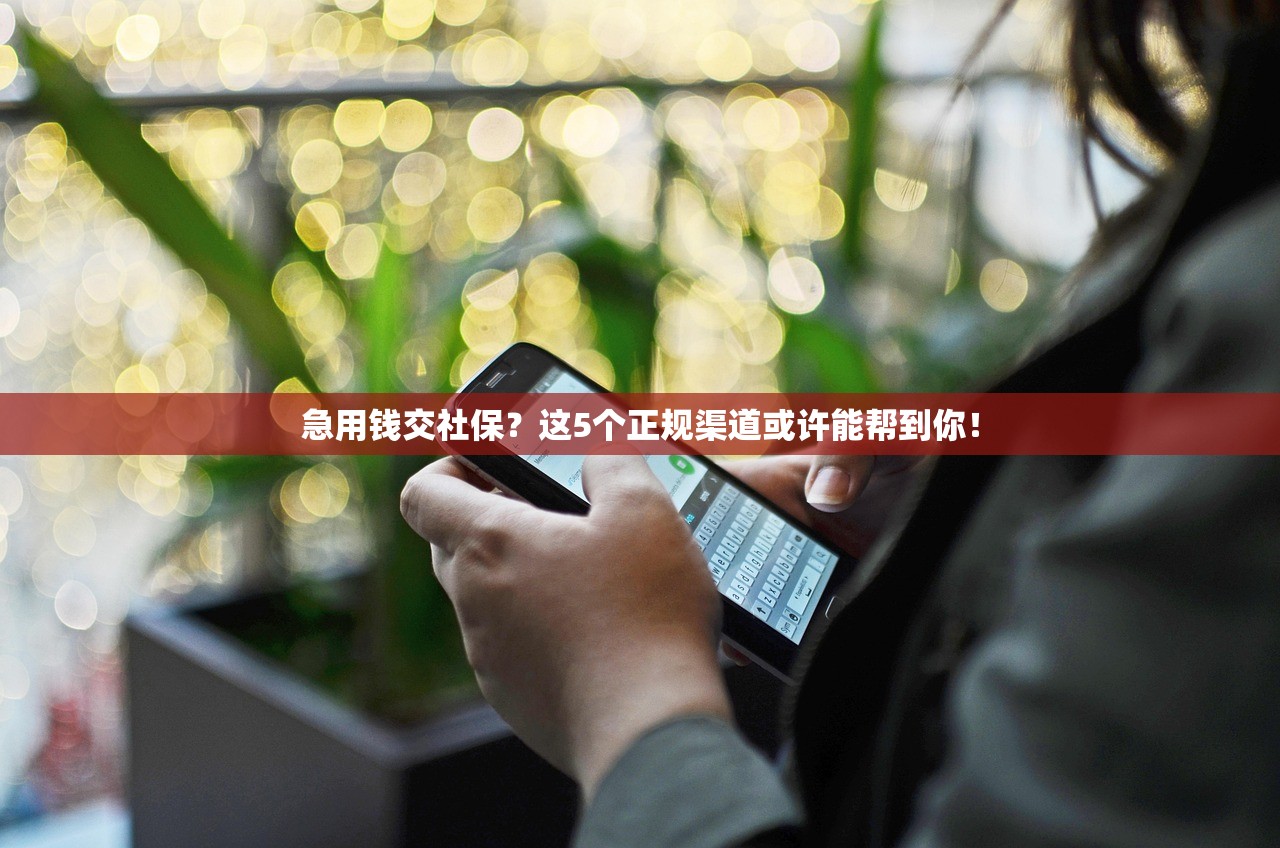 急用钱交社保?这5个正规渠道或许能帮到你! 急用钱交社保?这5个正规渠道或许能帮到你!