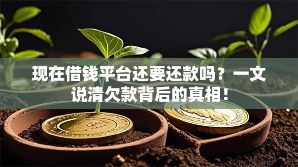 现在借钱平台还要还款吗？一文说清欠款背后的真相！