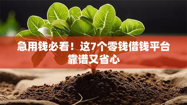 急用钱必看！这7个零钱借钱平台靠谱又省心