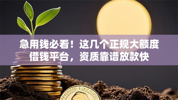 急用钱必看！这几个正规大额度借钱平台，资质靠谱放款快