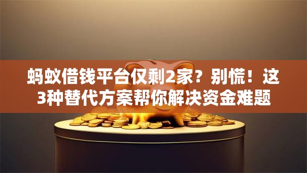 蚂蚁借钱平台仅剩2家？别慌！这3种替代方案帮你解决资金难题