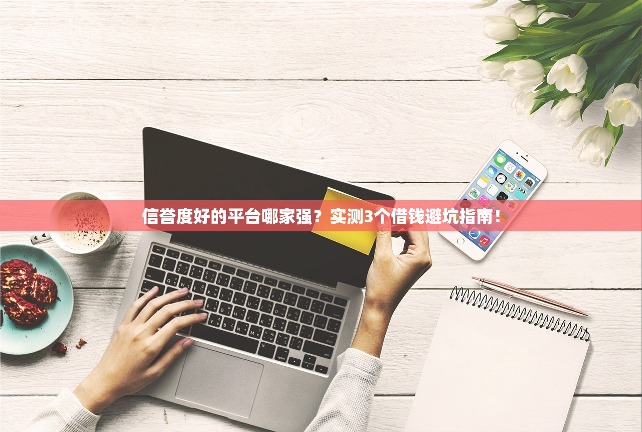 信誉度好的平台哪家强？实测3个借钱避坑指南！