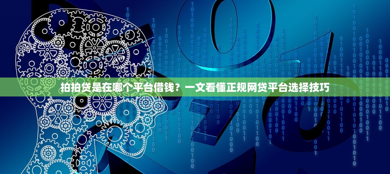 拍拍贷是在哪个平台借钱?一文看懂正规网贷平台选择技巧 拍拍贷是在哪个平台借钱?一文看懂正规网贷平台选择技巧