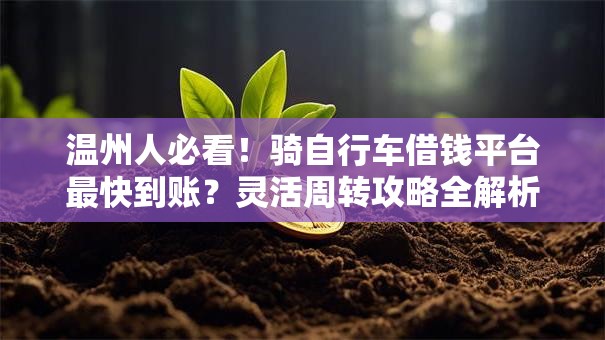 温州人必看!骑自行车借钱平台最快到账?灵活周转攻略全解析 温州人必看!骑自行车借钱平台最快到账?灵活周转攻略全解析