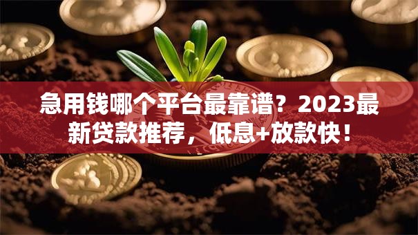 急用钱哪个平台最靠谱？2023最新贷款推荐，低息+放款快！