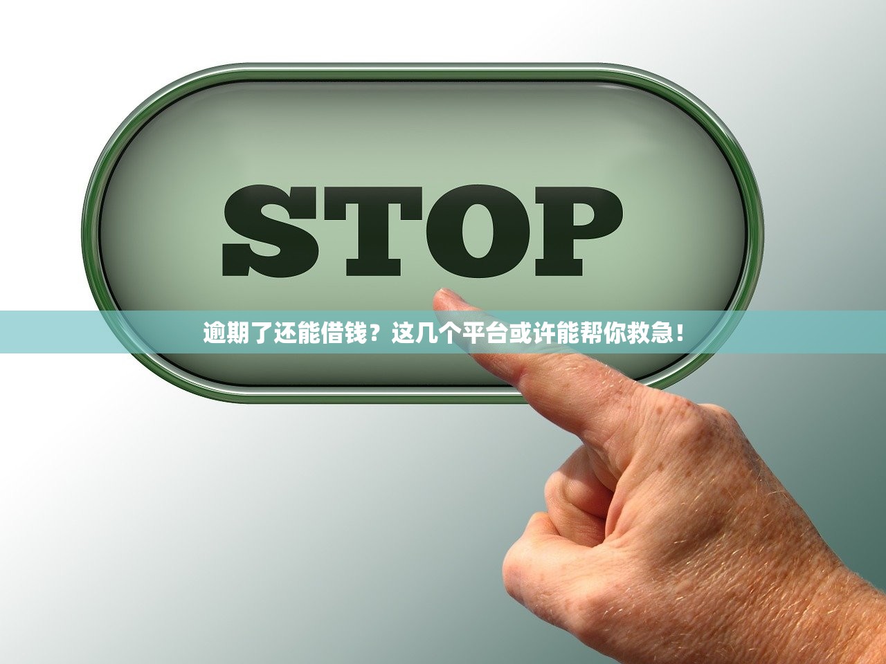 逾期了还能借钱？这几个平台或许能帮你救急！