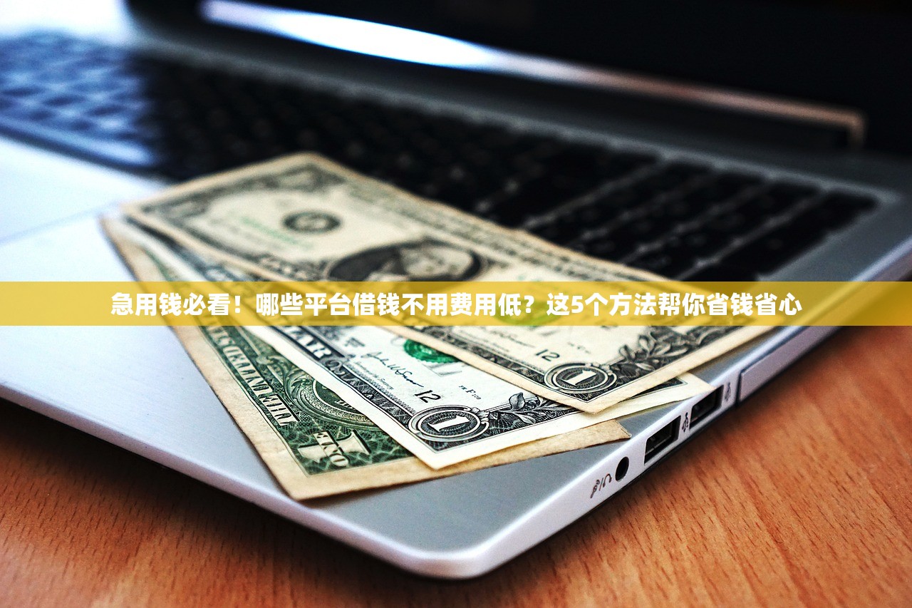 急用钱必看！哪些平台借钱不用费用低？这5个方法帮你省钱省心