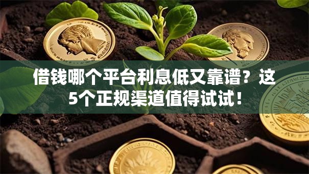 借钱哪个平台利息低又靠谱？这5个正规渠道值得试试！