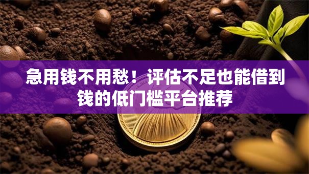 急用钱不用愁！评估不足也能借到钱的低门槛平台推荐