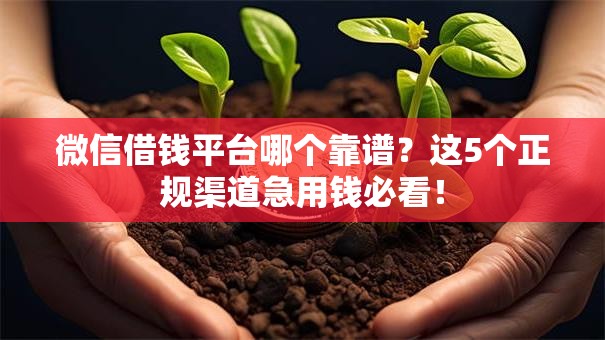 微信借钱平台哪个靠谱？这5个正规渠道急用钱必看！