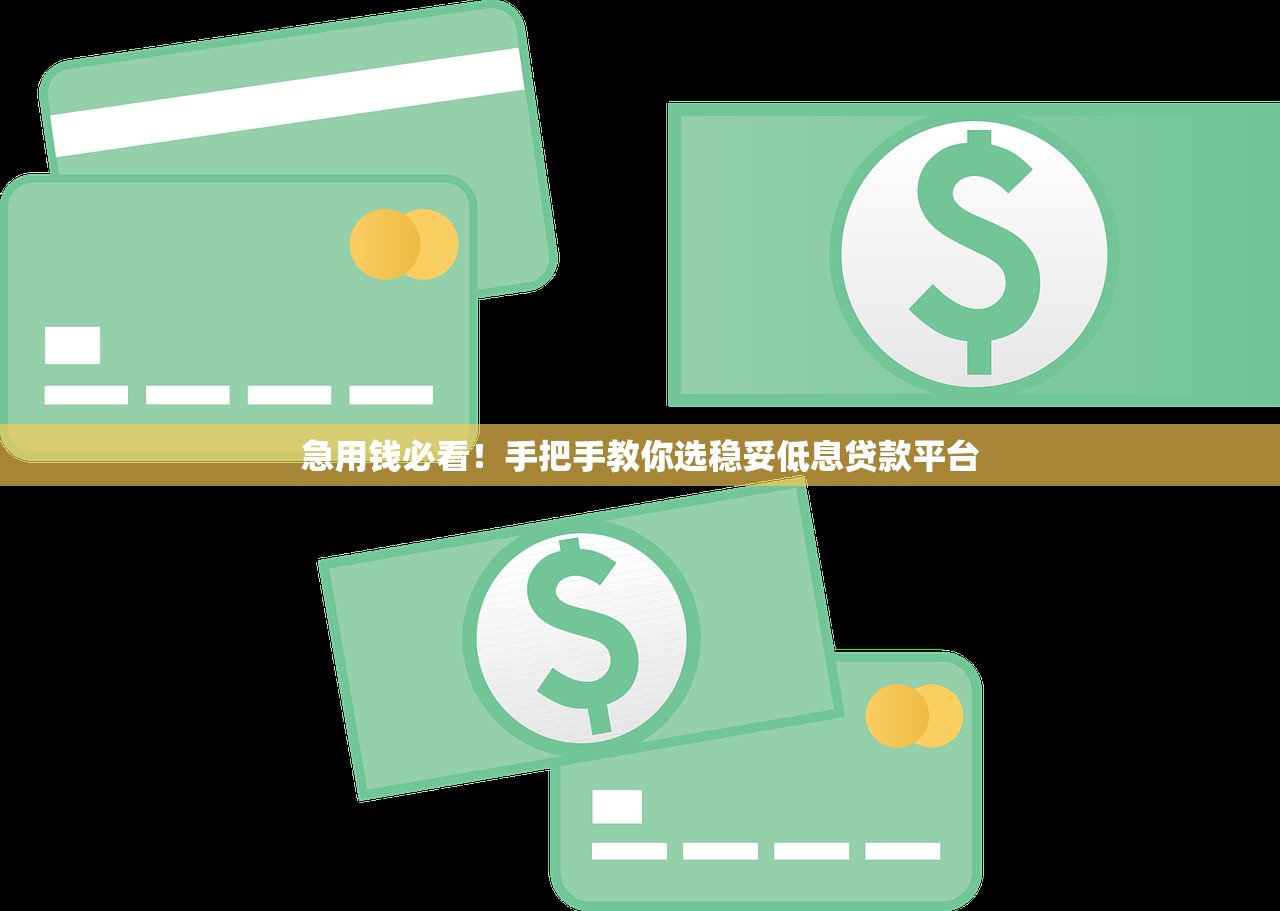 急用钱必看！手把手教你选稳妥低息贷款平台