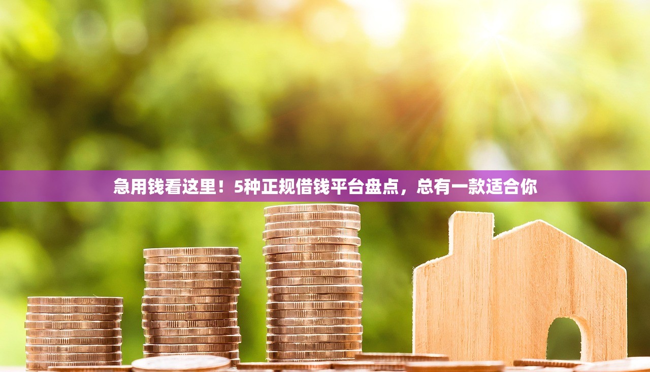 急用钱看这里！5种正规借钱平台盘点，总有一款适合你