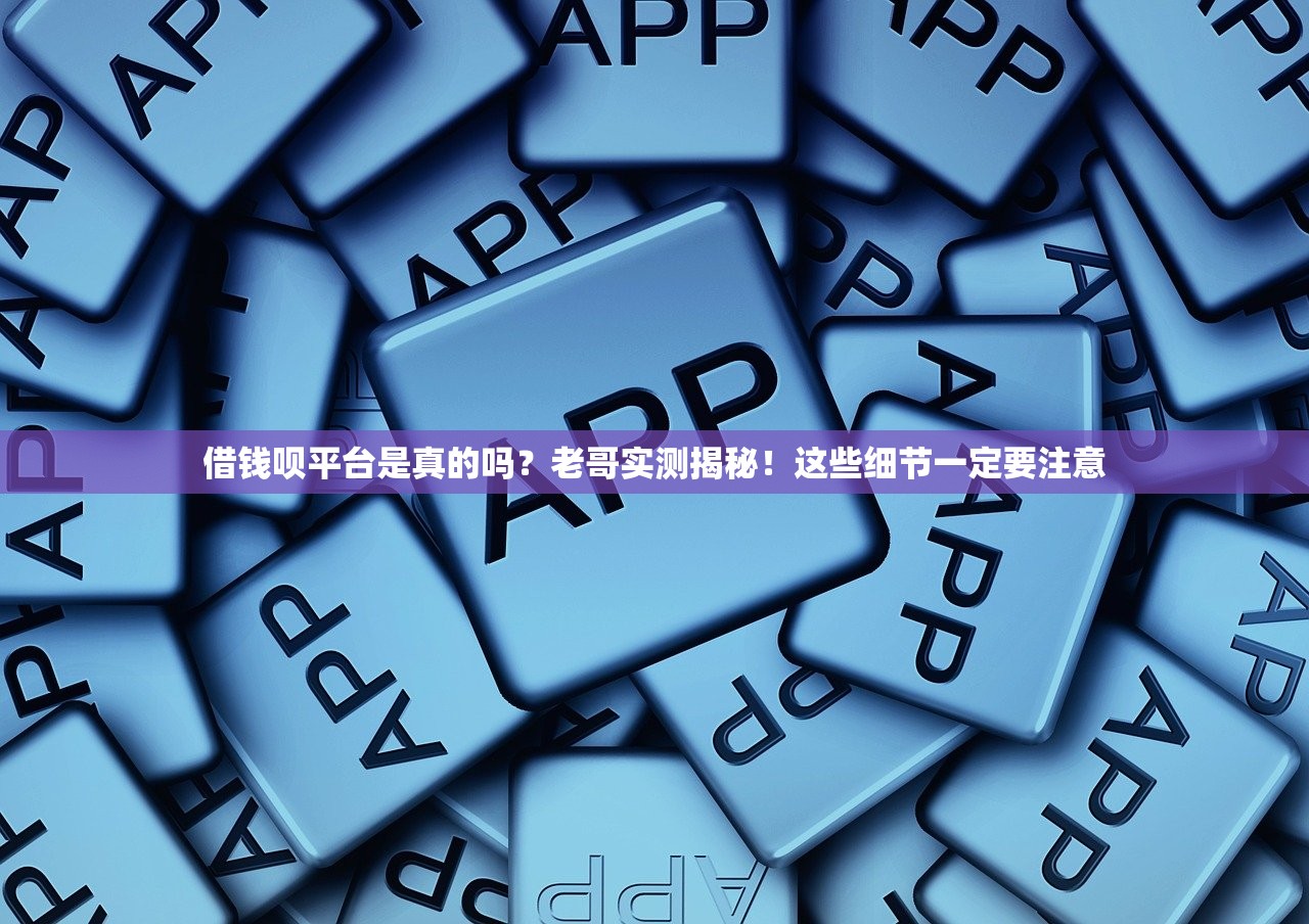 借钱呗平台是真的吗？老哥实测揭秘！这些细节一定要注意