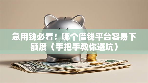 急用钱必看！哪个借钱平台容易下额度（手把手教你避坑）