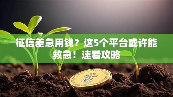 征信差急用钱？这5个平台或许能救急！速看攻略