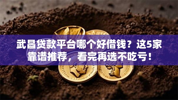 武昌贷款平台哪个好借钱？这5家靠谱推荐，看完再选不吃亏！