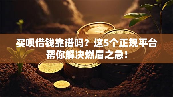 买呗借钱靠谱吗?这5个正规平台帮你解决燃眉之急! 买呗借钱靠谱吗?这5个正规平台帮你解决燃眉之急!