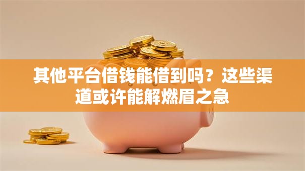 其他平台借钱能借到吗？这些渠道或许能解燃眉之急
