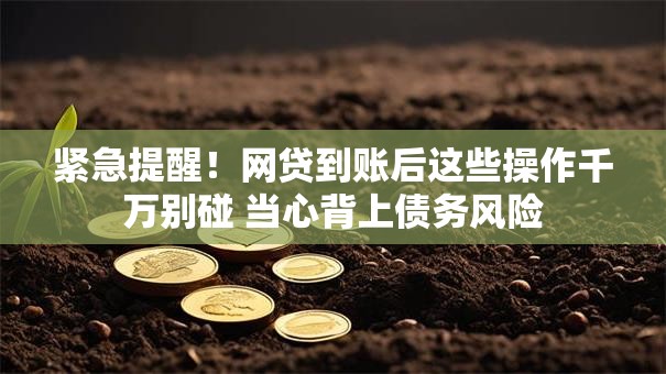 紧急提醒！网贷到账后这些操作千万别碰 当心背上债务风险