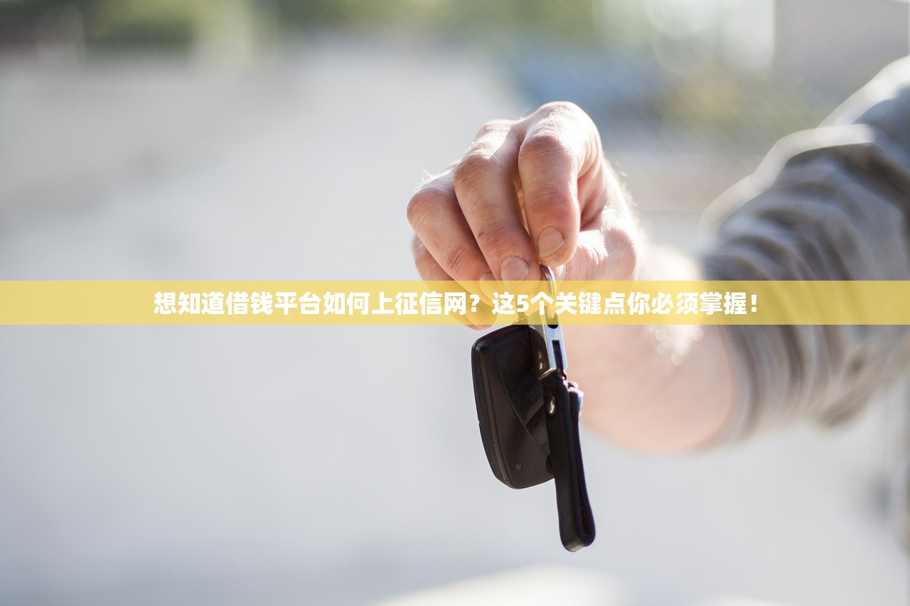 想知道借钱平台如何上征信网？这5个关键点你必须掌握！