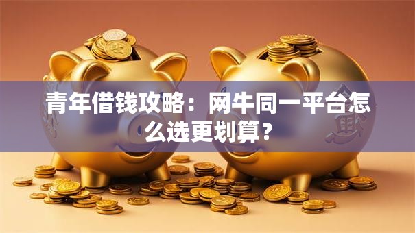 青年借钱攻略：网牛同一平台怎么选更划算？